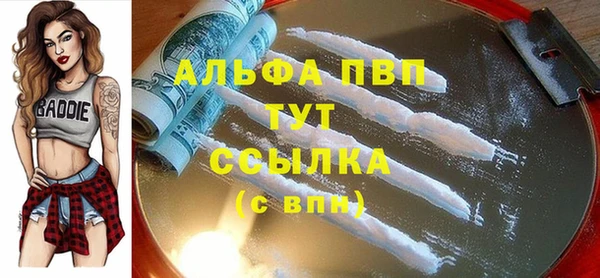 твердый Майский