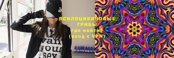 твердый Майский