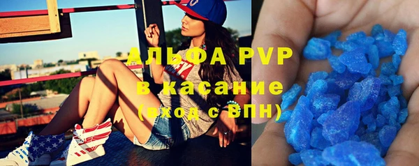 твердый Майский